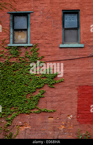 Vignes grandissent un mur sous deux fenêtres, l'un qui dit 'Ouvrir'. Pittsburgh Uptown Banque D'Images