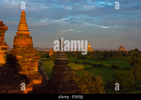 Anciens temples et pagodes de la jungle au lever du soleil, Bagan, Myanmar Banque D'Images