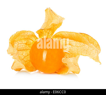 Physalis fruits isolés Banque D'Images