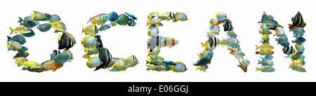 Le mot composé de l'océan de poissons tropicaux colorés isolé sur fond blanc Banque D'Images