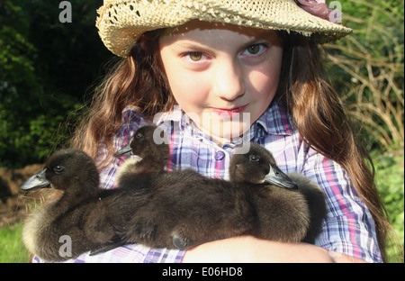 Portrait de dix ans, fille, en tenant son chapeau de paille pet trois canetons cayuga Anas platyrhynchos domesticus, uk Banque D'Images