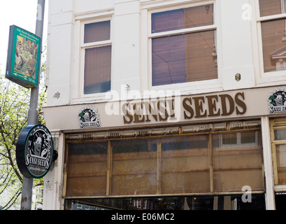 Magasin qui vend des graines de cannabis à Amsterdam Banque D'Images