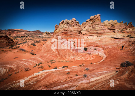 Rock formations dans le Coyote Buttes South région, Arizona, USA Banque D'Images