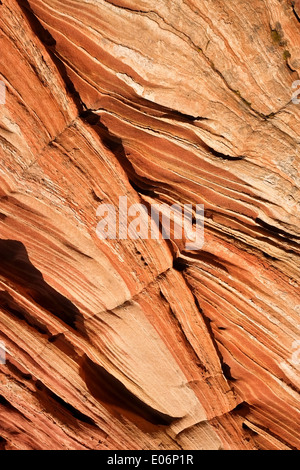 Rock formations dans le Coyote Buttes South région, Arizona, USA Banque D'Images