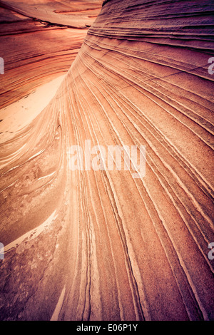 Rock formations dans le Coyote Buttes South région, Arizona, USA Banque D'Images