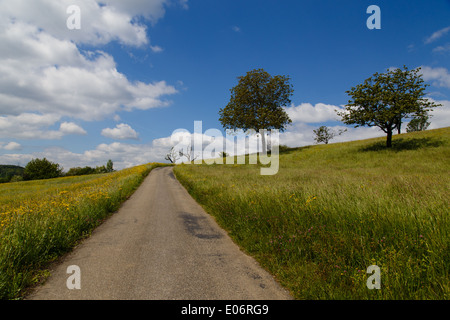 Près de Bâle, Suisse - 4 mai 2014 - Photo de petite route qui traverse un champ vert prises un dimanche après-midi, une randonnée. Banque D'Images