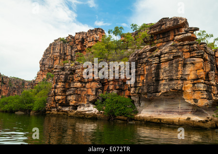 Sur le roi George River Gorge, le Kimberley, Western Australia, Australia Banque D'Images