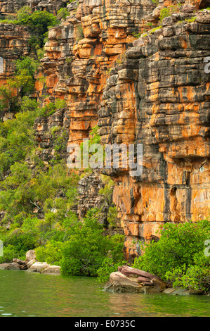 Sur le roi George River Gorge, le Kimberley, Western Australia, Australia Banque D'Images