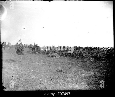 Manoeuvres militaires dans un pré, 1902 Banque D'Images