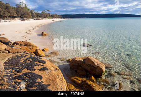 Plage de Cooks dans Parc national de Freycinet Banque D'Images