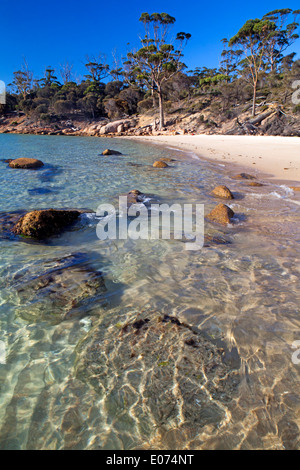 Plage de Cooks dans Parc national de Freycinet Banque D'Images