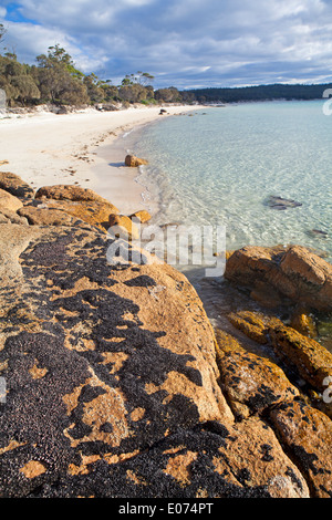 Plage de Cooks dans Parc national de Freycinet Banque D'Images