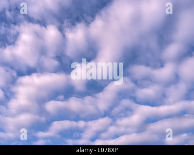 Des vagues de nuages altocumulus blanc moelleux contre ciel bleu profond Banque D'Images