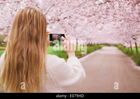 Jeune femme à l'aide de son téléphone cellulaire pour capturer des images de la voie et les fleurs de cerisier arbre en parc. Vue arrière droit de jeunes femmes Banque D'Images