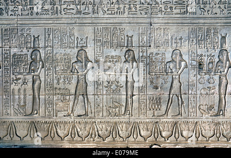 Egypte,Dendera temple ptolémaïque,de la déesse Hathor.Sculptures sur mur extérieur. Banque D'Images