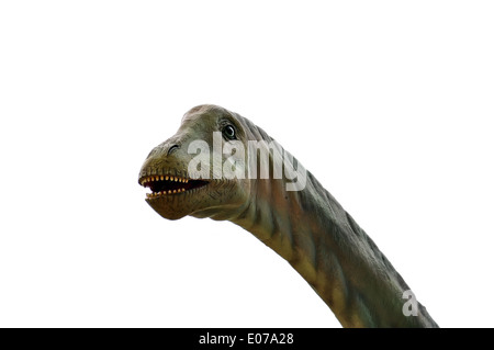 Tête de dinosaure isolé sur fond blanc Banque D'Images