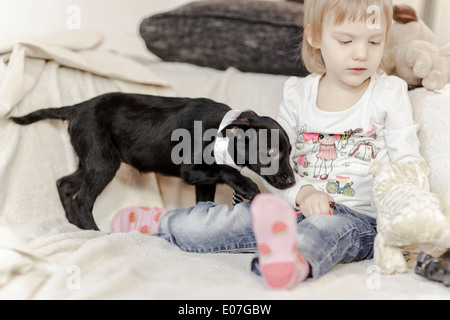 Little girl Playing with pet dog et Doudou Banque D'Images