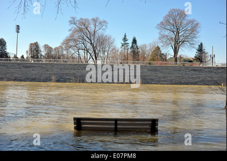 Au Canada, la Tamise à Londres - l'Ontario inondations après de fortes pluies. Banque D'Images