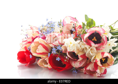 Bouquet de fleurs de printemps sur un fond blanc Banque D'Images