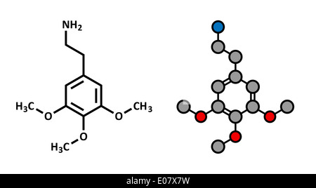 La Mescaline psychedelic molécule pharmaceutique. Présent en peyote. Rendu 2D stylisée et conventionnelle formule topologique. Banque D'Images