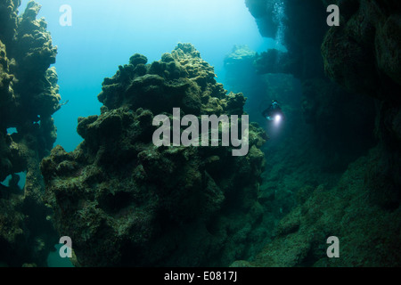 Plongée sous marine dans une caverne sous-marine au large de Roatan, Honduras. Banque D'Images