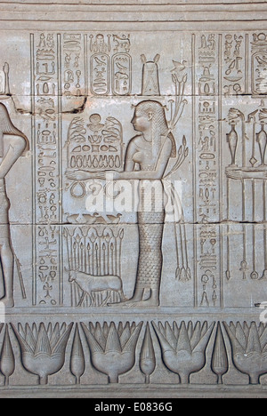 Egypte,Dendera temple ptolémaïque,de la déesse Hathor.Sculptures sur mur extérieur. Banque D'Images