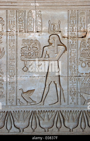 Egypte,Dendera temple ptolémaïque,de la déesse Hathor.Sculptures sur mur extérieur. Banque D'Images