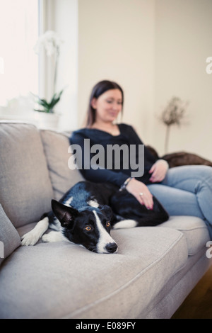 Woman with dog on sofa at home Banque D'Images