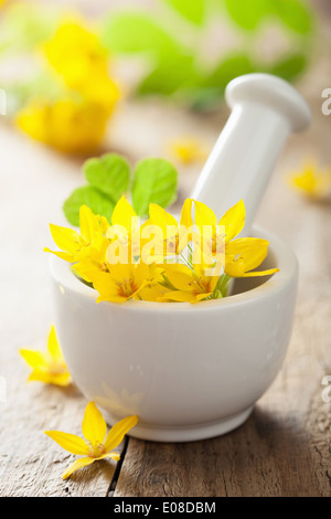 Mortier avec fleurs et herbes pour spa Banque D'Images