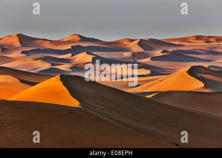 Paysage de dunes de sable dans le désert arabique. Banque D'Images