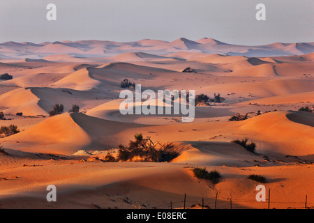 Paysage de dunes de sable dans le désert arabique. Banque D'Images