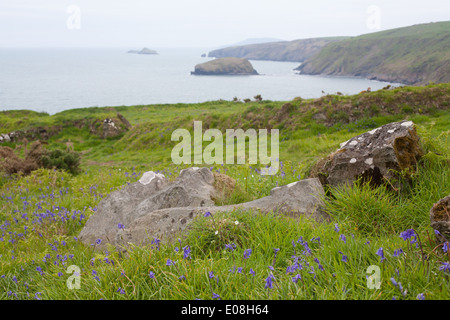 Une vue de la falaise au-dessus de l'autre côté de Ysgo Porth cove / plage vers l'île de Bardsey Aberdaron et / Ynys Enlli Banque D'Images