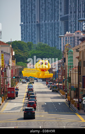 Modèle géant serpents Célébration de l'année chinoise du serpent accrochée au-dessus du North Bridge Road, à Singapour. Banque D'Images