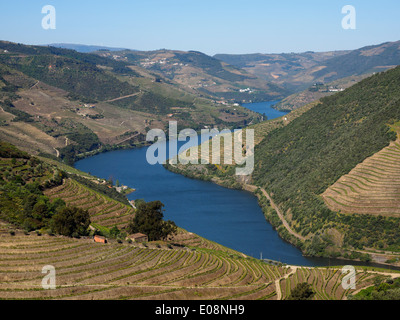 Paysage de la vallée du Douro, au nord du Portugal, Europe Banque D'Images