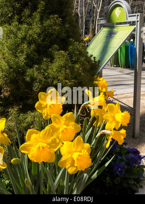 Bryant Park au printemps, NYC, USA Banque D'Images