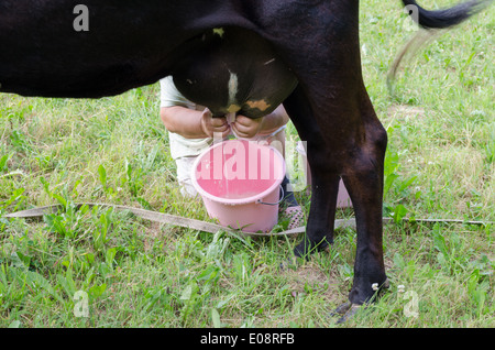 La productrice de lait traire mains femme creusé pour vache rose plastique godet en prairie. Banque D'Images