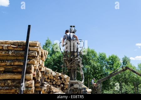 L'homme arbre abattu chargement de bois de sciage avec grue pour remorque de camion lourd pour le transport. Banque D'Images