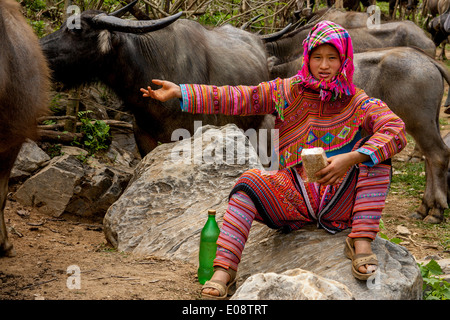 Le marché de l'élevage dans la région de Coc Li, province de Lao Cai, Vietnam Banque D'Images