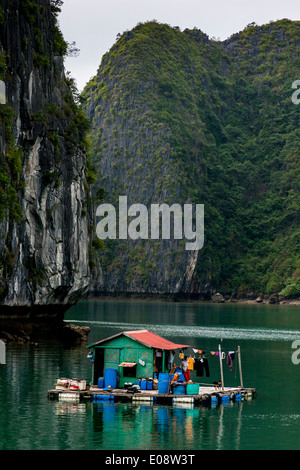 Village de pêcheurs flottant, Ha Long Bay, golfe du Tonkin , Vietnam Banque D'Images