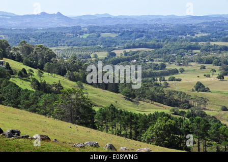 Campagne de l'arrière-pays en Australie Banque D'Images