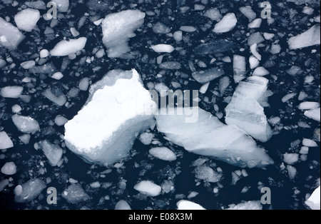 Et les fragments de glace dans l'impétueuse lemaire channel Antarctique Banque D'Images