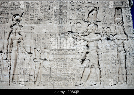 Egypte,Dendera temple ptolémaïque,de la déesse Hathor.Sculptures sur les murs. Banque D'Images