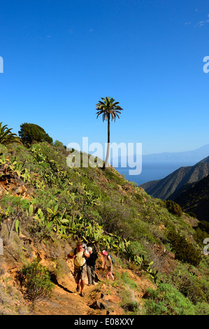 Marche circulaire Vallehermoso. La Gomera. Canaries, province de Santa Cruz de Tenerife. Espagne Banque D'Images