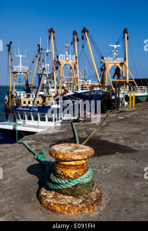 Les bateaux de pêche amarrés à Kilmore Quay, Wexford, Irlande Banque D'Images