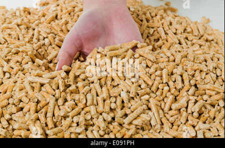 L'énergie de remplacement la fue chauffage. Chauffer avec des pellets déjà l'environnement., Energie Alternative fue die Heizung. Heizen mit Banque D'Images