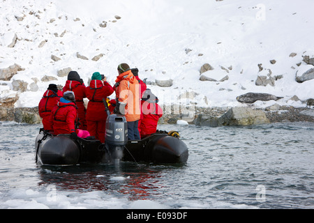 Expédition antarctique zodiac s'approche de phoque de Weddell sur shore cierva cove antarctique Banque D'Images