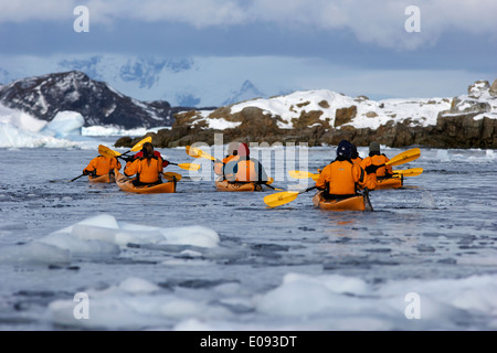 Expédition antarctique kayakistes pagayant tour brash pack la glace de mer antarctique cierva cove Banque D'Images