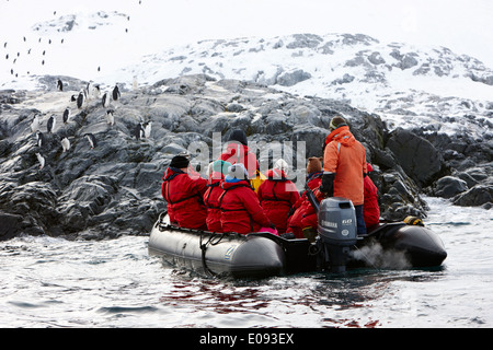 Expédition antarctique zodiac approche colonie de manchots à jugulaire cierva cove antarctique Banque D'Images