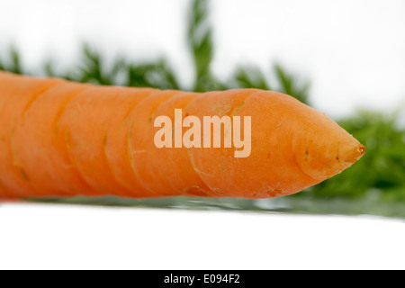 Les carottes de culture biologique. Fruits et légumes frais est toujours en bonne santé. Photo symbolique fue alimentation saine., Moehren aus Banque D'Images