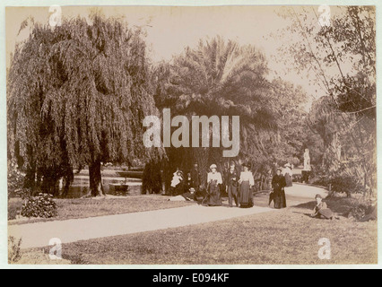 Cette image des jardins botaniques de Sydney, prise entre 1900 et 1910, capture la beauté et la sérénité de l’un des espaces verts les plus historiques de Sydney. La photo reflète l'aménagement paysager et la jouissance du parc par le public au début du XXe siècle. Banque D'Images